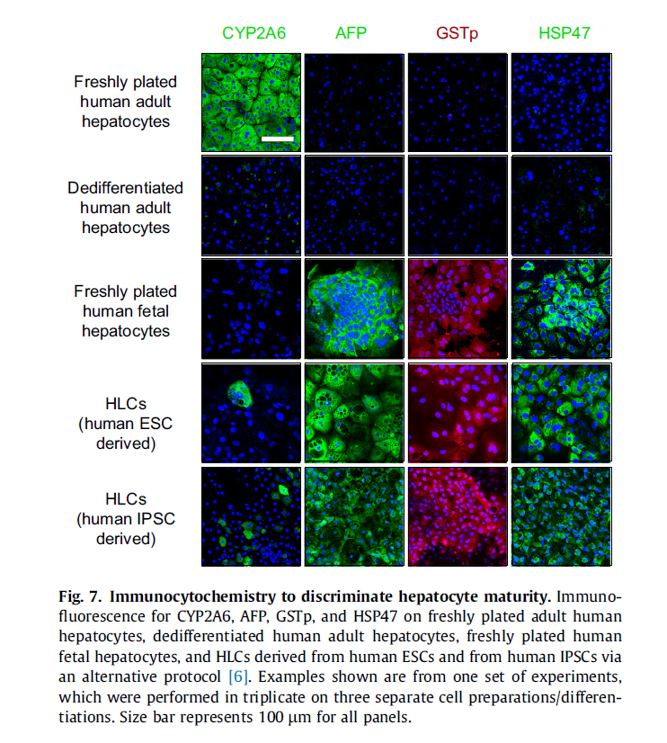 Baxter et al., 2015