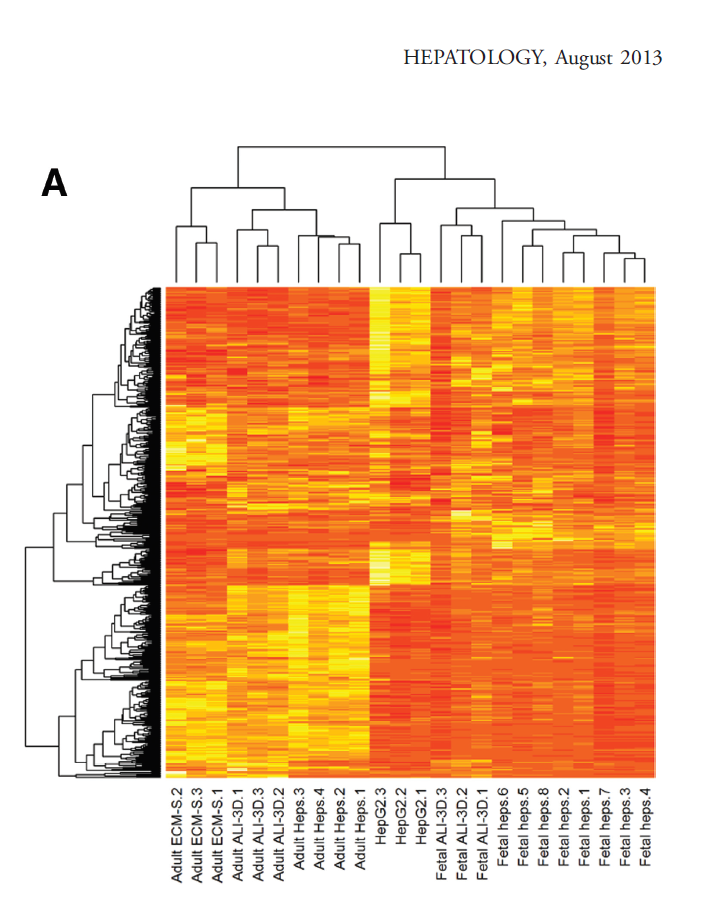 Rowe et al., 2013